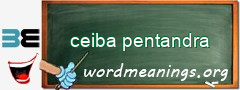 WordMeaning blackboard for ceiba pentandra